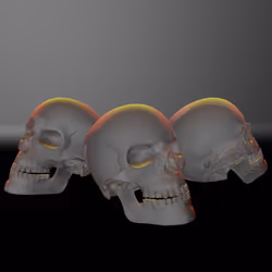 Skull Group #001