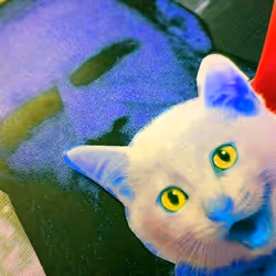 4747115153065902387790593868107453782499677024781155622119189993899962662913