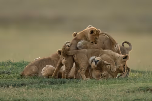 Item #95133208909009756049449667206279702741709602474386148619312528404763956477953 Media