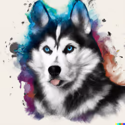 husky siberiano dog breed