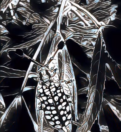 Item #81269833061274051173789884418282317830923519221172308843662164449385236135937 Media