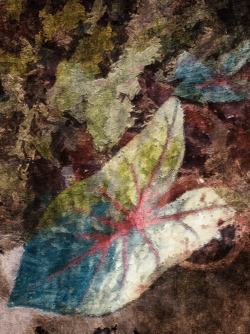 Item #69261177602478584146078213691104273677815526894191982293268528053055442124801 Media