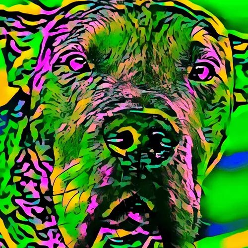 Item #50830097462543580601473563981388698009005024090223633461481089531466181771265 Media