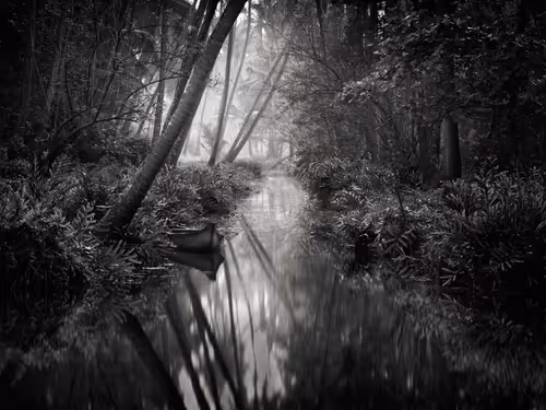 Item #108814857691029429230781820568210235490063919231059486623727012676166437830657 Media