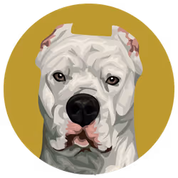 54766349128176429303044182404049584425310907481653304317570414003500099829761