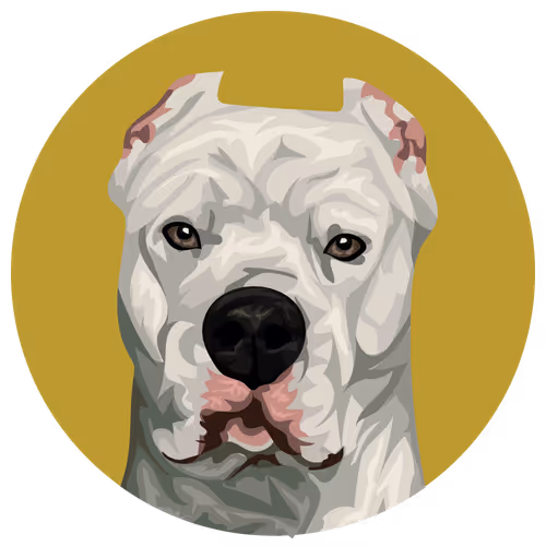 54766349128176429303044182404049584425310907481653304317570414003500099829761