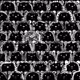 51580159114615607160815680941086386144274295683022324430032338010304174620673