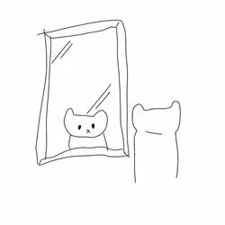 reflection