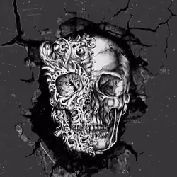 Skull ohhh