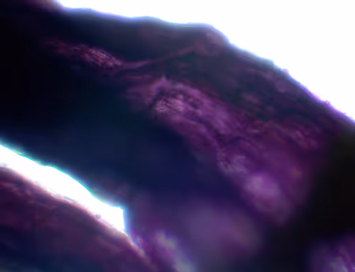 Item #71646257518770613568983710813551014237803002136866425209291833949328261513217 Media