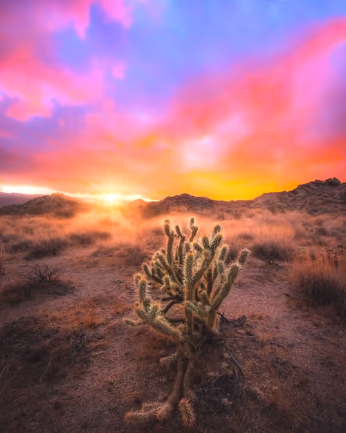 Item #37701692604240833627253285702133416503729912099982209521242011471825684398081 Media