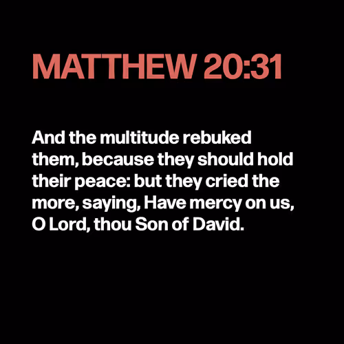 Item #22053356606985035317572807567829034573317121579682343289603646957000601894913 Media