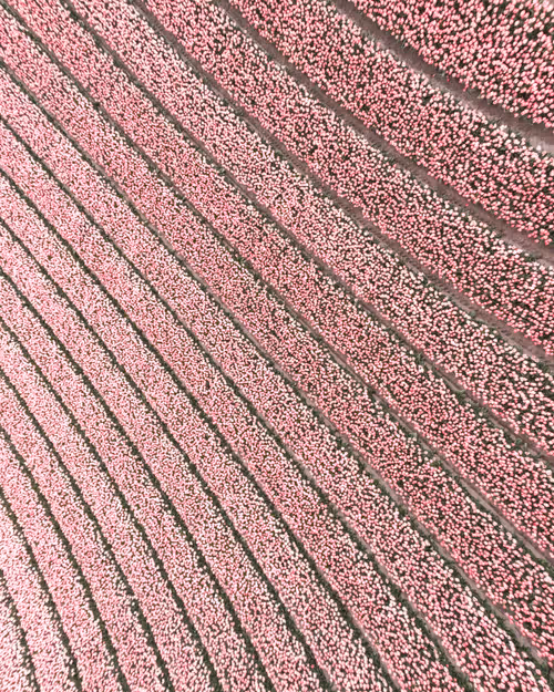 Item #3461261320663593426900354360876375017663922749216533272399435648825120784385 Media