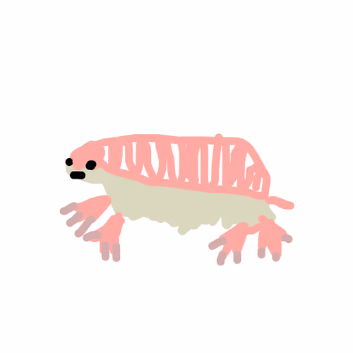 Pink Fairy Armadillo