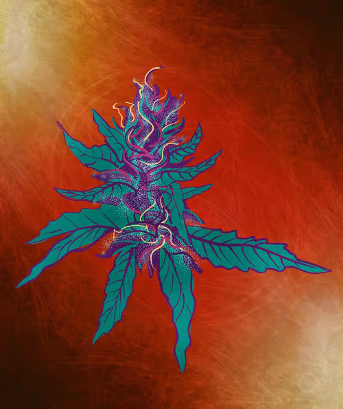 Item #88173920956366532206384104525204378846175092179682069740847406051845050728449 Media