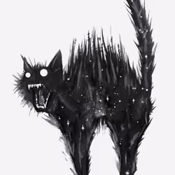 Crazy Cat