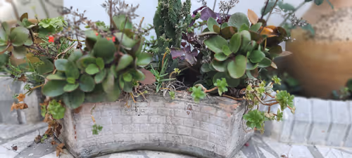 Item #15854051345547538940358171864260483403009845531481112667415573950419114655745 Media