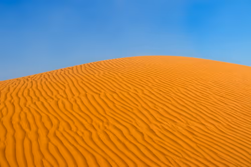 Item #12333759371985289416686528618250941787801478820548931806244366504228391223297 Media