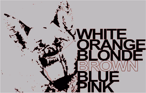 Item #105338973204314697576164656118744904588867016594182430236815670696436457013249 Media