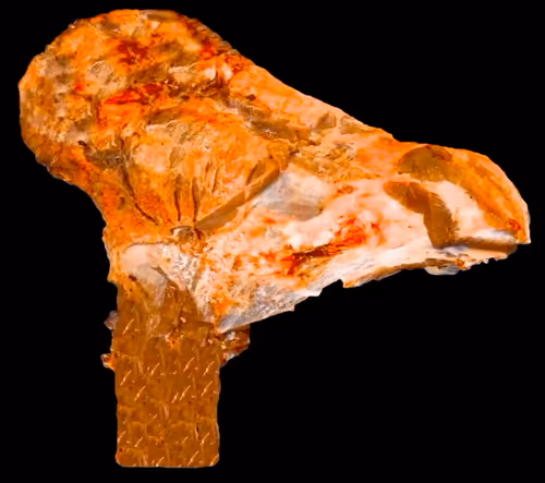 Item #18063966590187803564983313972252836895288362682890717819958697110916464377857 Media