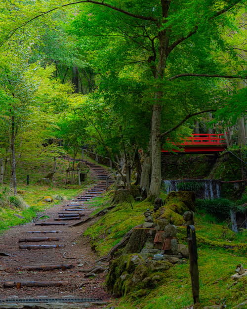 Item #67939412302890938501542439666874695594271992437598486221987910544695834443777 Media