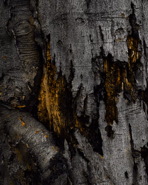 Item #92025450797269199699519638407999947828010124563072321716364901899050583851009 Media