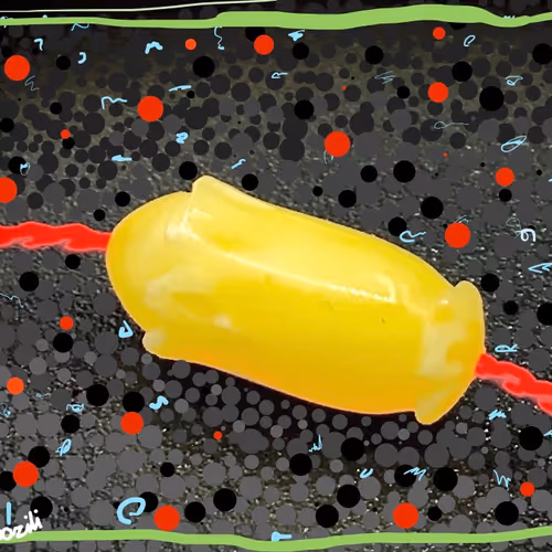 69762886400045524757007765668591644590126757067180732464383252353899399479297