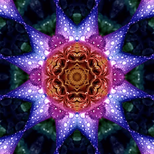 Item #97421916127539205213308123196799644053848402544505572694711055733742697971713 Media