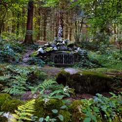 The Forgotten Celtic Fountain 1