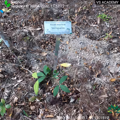 Item #8500196597889277390194123329501889087166328879864934763448348836910453489665 Media