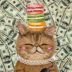 63588752515642770477067191287288803913526852218898202821012584875004851650561