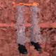22941375474914455625202678053794481000544566869468593895119213341155509927937