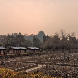Beijing View#19