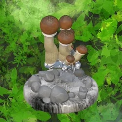 23980907883852062559531448327265779246704744014471799110585032935703251517441