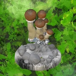 METAVERSE PLANT MEDICINE #0035: Psilocybin Mushrooms by FRACTALICIA