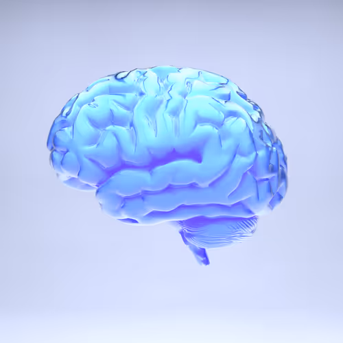 Item #77412820926303725204956055566925211190020908428863033075197849137957165858817 Media