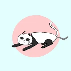 Panda cat #5