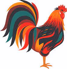 Untitled Collection #55874443