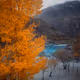 88983465498405640531199914987332230107493341111650444055442075423551803883521