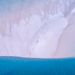 2 of 50: Blue Dreams 1