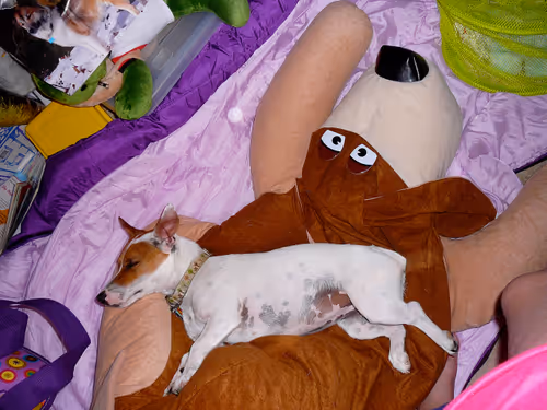 Item #5985210497355107417265215381210579199842884272282595265964883383622656065537 Media