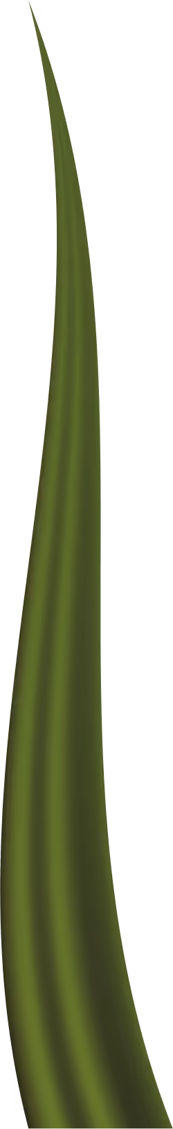 Item #78763235517899702300642317908544281341520076745003203023483945965320914599937 Media