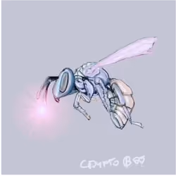 crypto bee