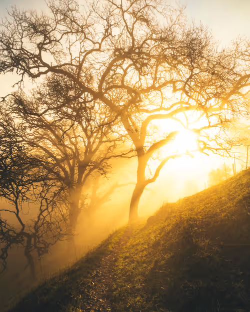 Item #99379921276153973634104125152908526548510783699959858376338453585399709171713 Media