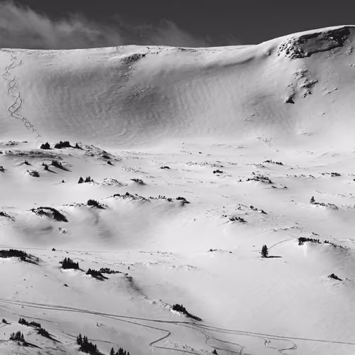 B&W Ski Lines 