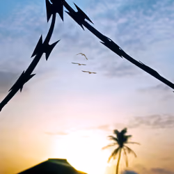Freedom at sunrise