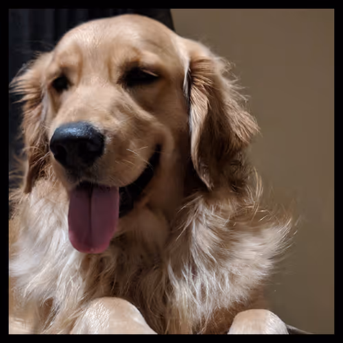 Item #106495276592435919470568425369488009874844936823784433162656833191858128551937 Media