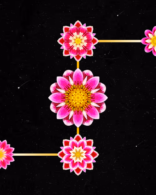 Item #39579845202103003613433969065529984939294887442875588777262424422065618550785 Media