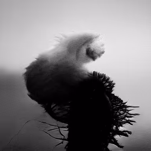 The Non-Human Artwork Project #192