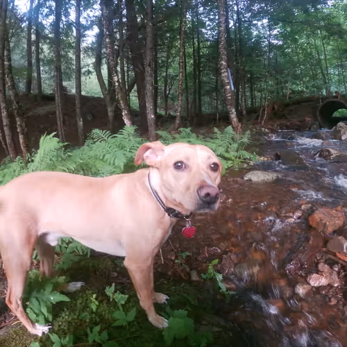 Untitled Collection #32911255